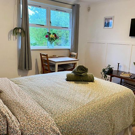 Bright And Comfortable Studio Apartment ロンドン エクステリア 写真