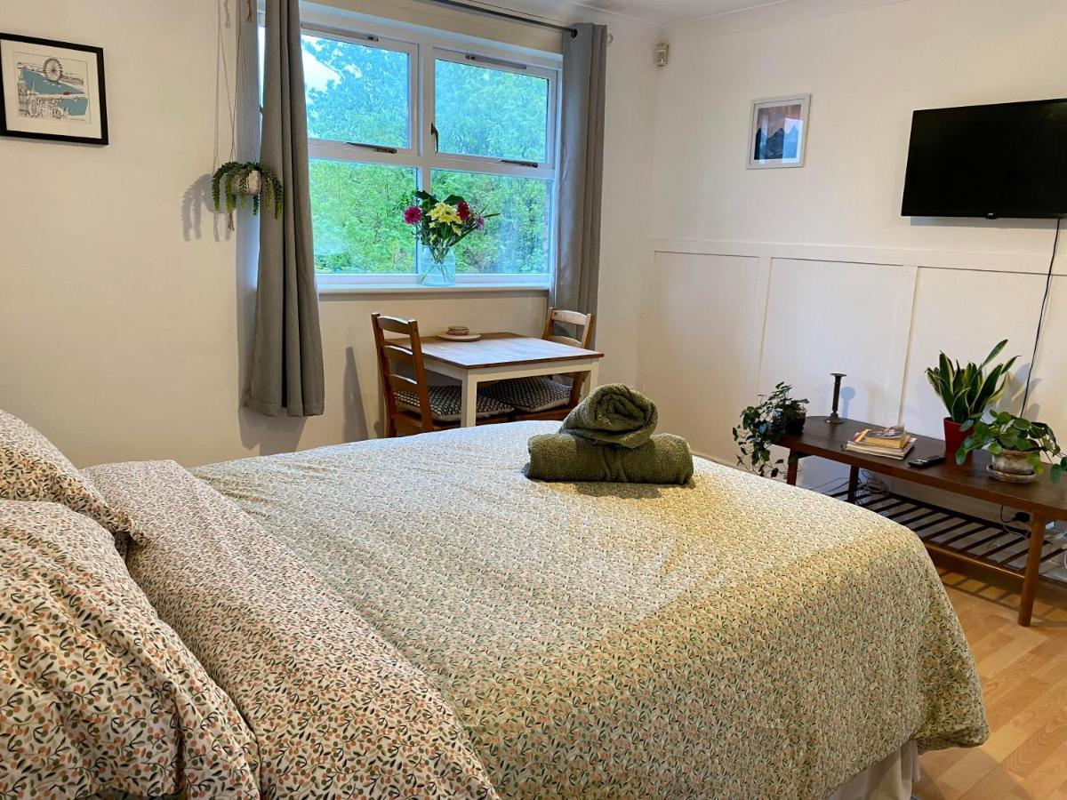 Bright And Comfortable Studio Apartment ロンドン エクステリア 写真