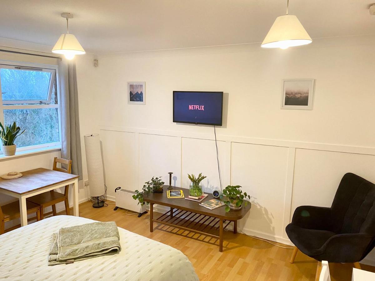 Bright And Comfortable Studio Apartment ロンドン エクステリア 写真